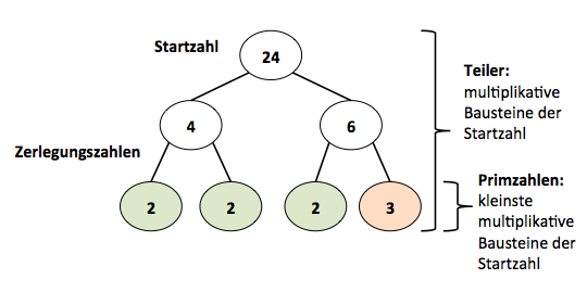 Zerlegungsbaum (Beispiel).png